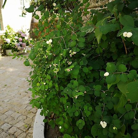 Refugio De Calheiros Villa Covilha Ngoại thất bức ảnh