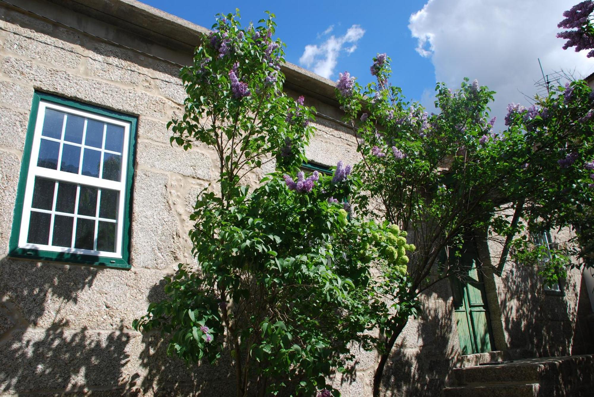 Refugio De Calheiros Villa Covilha Ngoại thất bức ảnh